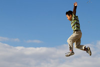 Fly